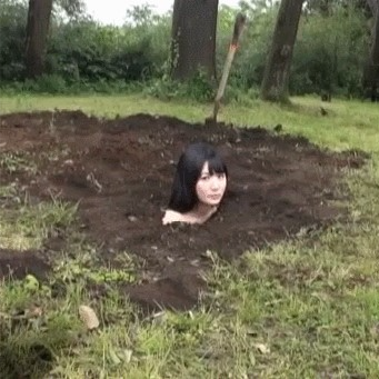 ai mai